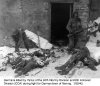 Germans killed by men of 94th Inf and 8th Armored (CCA)